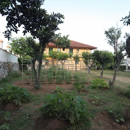 Cosy Budget To Rent In Corfu Apartament