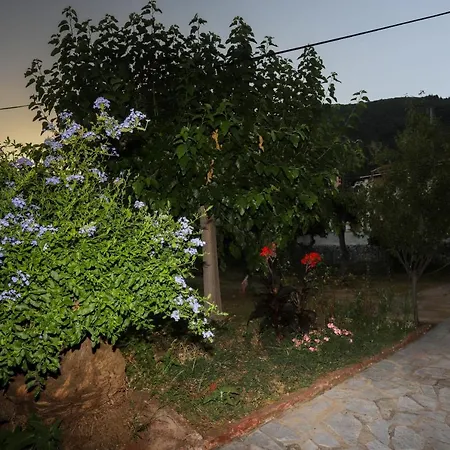 Cosy Budget To Rent In Corfu Apartment Ipsos