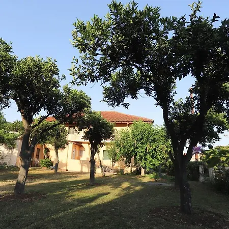 Cosy Budget To Rent In Corfu Apartment